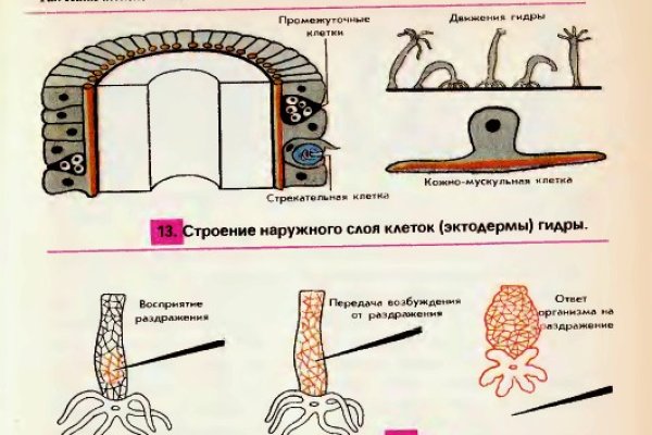 Кракен правильная